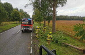 Strażacy wyjeżdżają do powalonych drzew