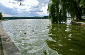 Trzesiecko jak Bałtyk