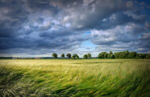 Silne wiatry w regionie