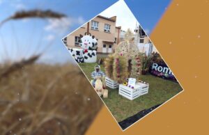 Dożynki Gminne w Sporem – zaproszenie