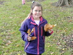 Jakie dziś święto? Dzień Spadającego Liścia!