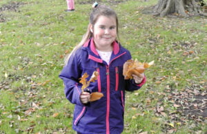 Jakie dziś święto? Dzień Spadającego Liścia!