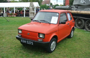 Festyn charytatywny Razem Dla Irenki. Maluszek znalazł nowego właściciela!