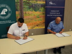 RDLP w Szczecinku zapewni pracę osadzonym