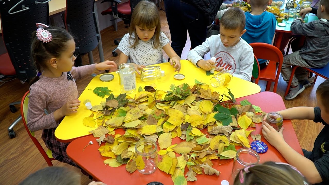 Dzień Spadającego Liścia w MBP
