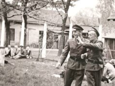 Video na poniedziałek: modernizacja przejść dla pieszych oraz wernisaż w muzeum