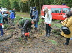 Sadzili drzewa dla MukoNiedzielek