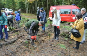 Sadzili drzewa dla MukoNiedzielek