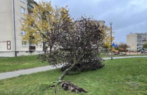 Powieje nawet ponad 100 km/h!