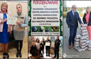 Pracownicy skarbówki pomogli czworonogom