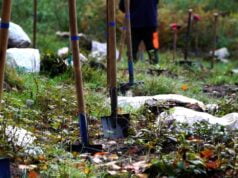 Sadzenie lasu dla MukoNiedzielek