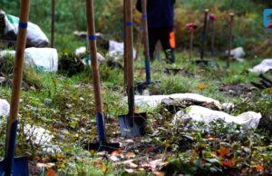 Sadzenie lasu dla MukoNiedzielek