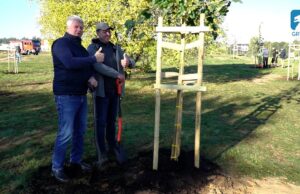 Kronodrzewko 2021 – GROW