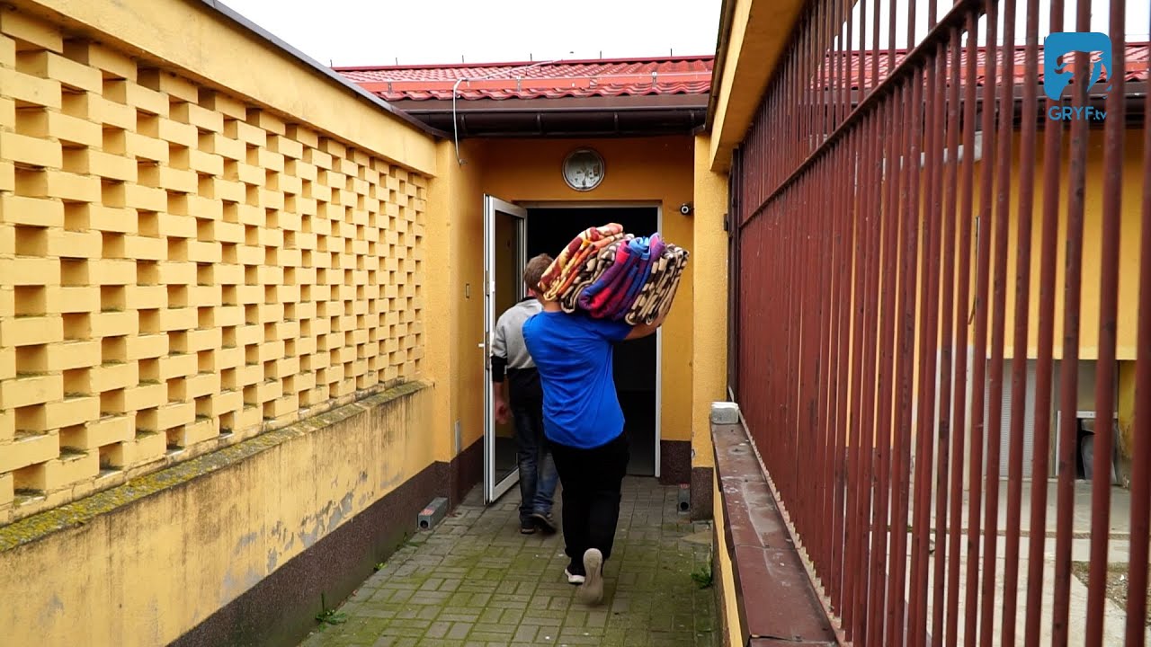 Uczniowie Mechanika pomogli czworonogom