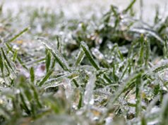 Noc z marznącymi opadami