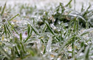 Synoptycy ostrzegają przed gołoledzią