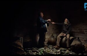 Truflarze – propozycja DKF na 24.11.2021