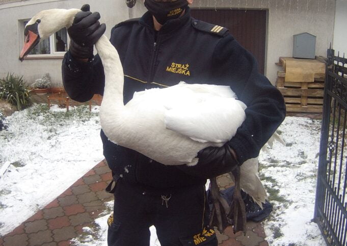 Nie bądźmy obojętni na krzywdę ptaków!