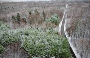 „Niesie po lesie” w zimowym wydaniu