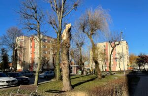 Strażacy podsumowują ciężki poniedziałek