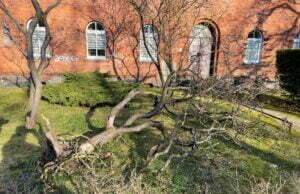 Wichura w powiecie szczecineckim