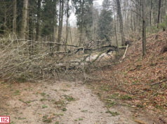 W regionie powieje nawet 100 km/h