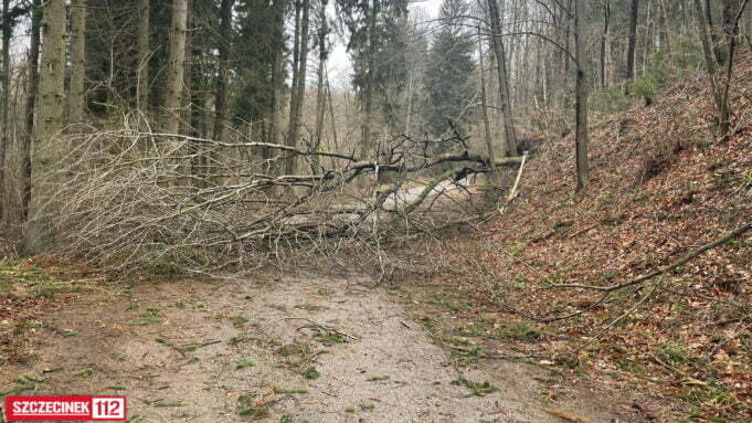 Burze i wiatr do 120 km/h. Zagrożenie trzeciego stopnia w regionie