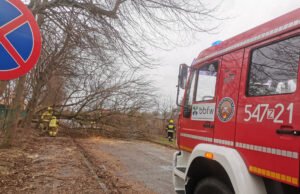 Strażacy podsumowują wietrzną sobotę