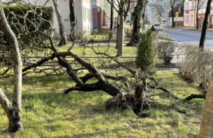 Czwartek również z silnym wiatrem