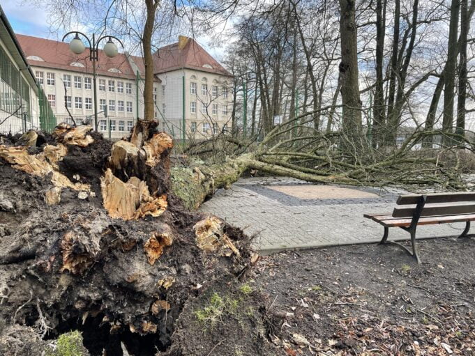 Wietrzna noc z piątku na sobotę