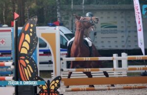 Do stadniny w Białym Borze popłynie 15 mln zł