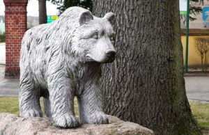 Nowoczesny rynek w Barwicach