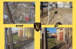 Pamiętajmy o porządku na posesji