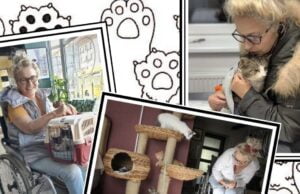 Młodzież ze Szczecinka pomaga niepełnosprawnej opiekunce bezdomnych kotów