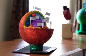 Widzę i rozumiem – konkurs w Zespole Szkół nr 2 w Szczecinku