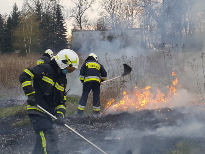 Strażacki raport tygodnia: 6 pożarów oraz dziecko na parapecie