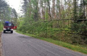 Strażacy podsumowują wietrzną sobotę