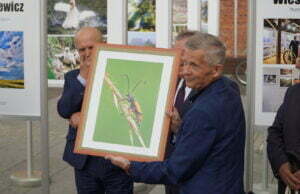 Dzika przyroda na Placu Wolności