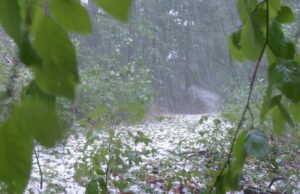 Burze, silny wiatr i grad przez cały poniedziałek