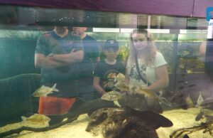 Szczecineckie Święto Wody