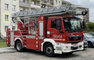 Pożary, konary, osy i szerszenie