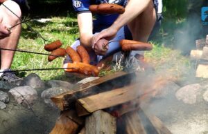 Legalne ogniska w lokalnych lasach