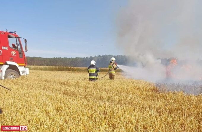 Ogień na podszczecineckich polach