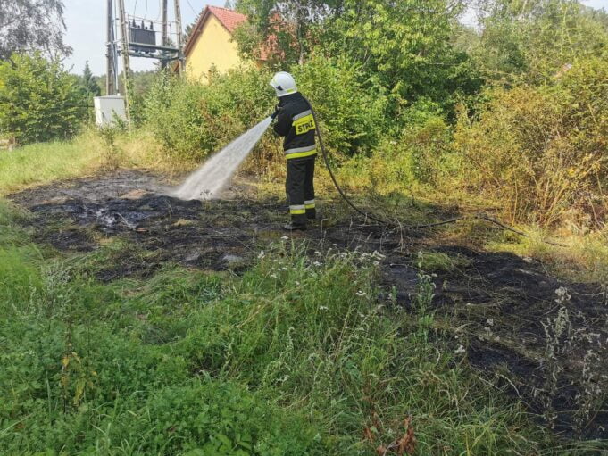 Ponad 20 wyjazdów i fałszywe alarmy