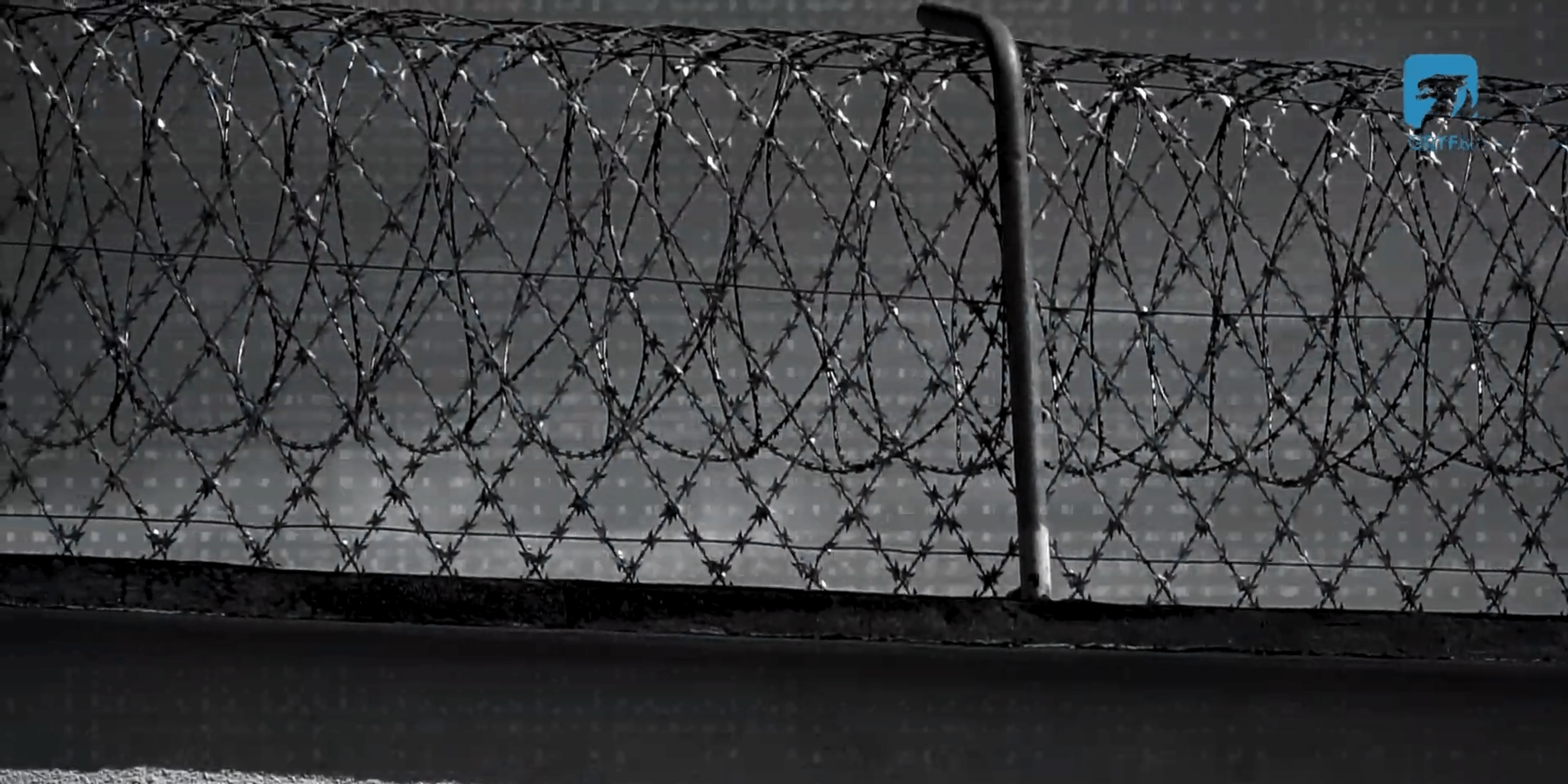 Program „Praca dla Więźniów” w Zakładzie Karnym w Czarnem