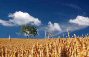 Przed nami kolejny upalny weekend