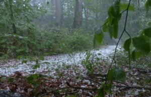 Piątek z burzami, możliwy też grad