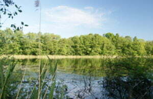 Rakowo i Grzmiąca najpiękniejsze w regionie