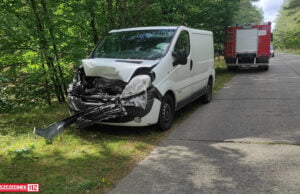 Bus zderzył się z jeleniem pod Bornem