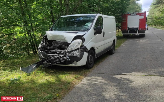 Bus zderzył się z jeleniem pod Bornem